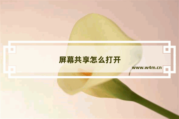 屏幕共享怎么打开