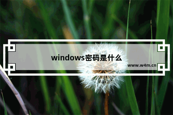 windows密码是什么