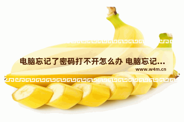 电脑忘记了密码打不开怎么办 电脑忘记开机密码的解决方法