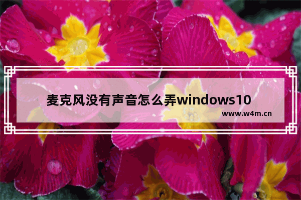 麦克风没有声音怎么弄windows10 windows10麦克风没声音解决方法