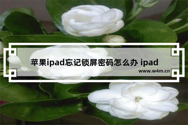 苹果ipad忘记锁屏密码怎么办 ipad忘记密码简单的解决方法