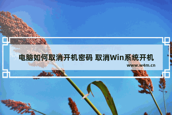 电脑如何取消开机密码 取消Win系统开机密码的方法