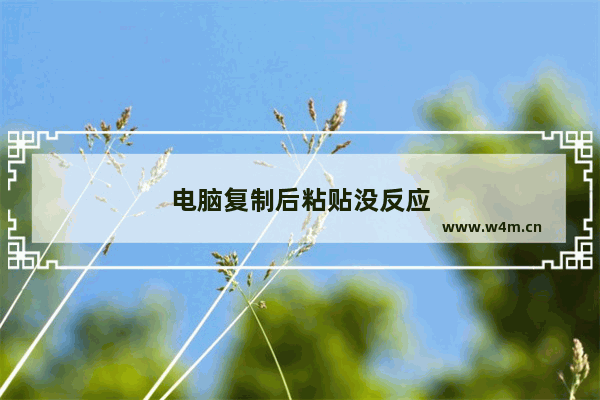 电脑复制后粘贴没反应