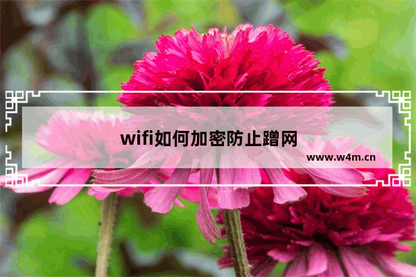 wifi如何加密防止蹭网