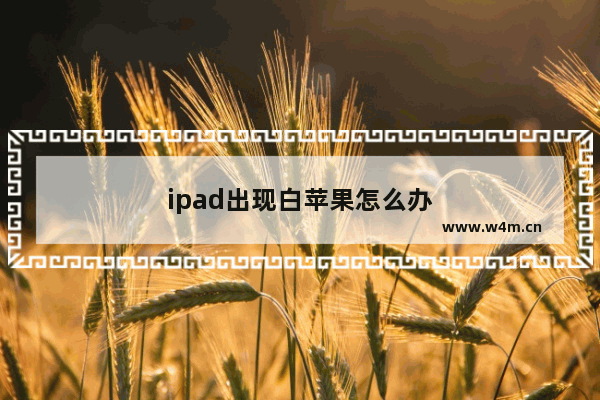 ipad出现白苹果怎么办