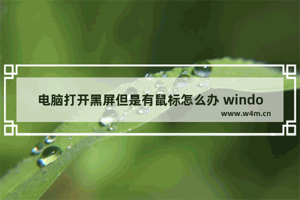 电脑打开黑屏但是有鼠标怎么办 windows10黑屏只有鼠标的解决方法