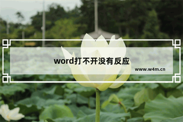 word打不开没有反应