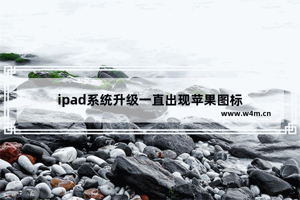 ipad系统升级一直出现苹果图标