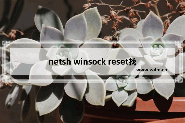 netsh winsock reset找不到指定文件