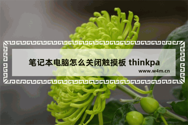 笔记本电脑怎么关闭触摸板 thinkpad电脑关闭触摸板方法