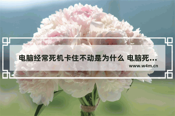 电脑经常死机卡住不动是为什么 电脑死机的原因以及解决办法