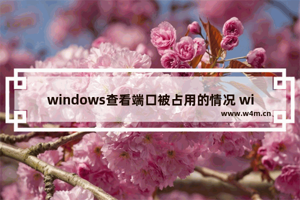 windows查看端口被占用的情况 win如何查看某个端口被占用