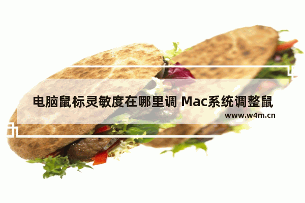 电脑鼠标灵敏度在哪里调 Mac系统调整鼠标灵敏度教程