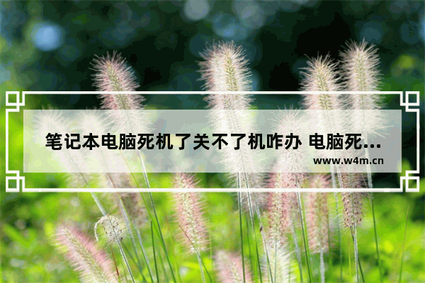 笔记本电脑死机了关不了机咋办 电脑死机了关不了机维修方法