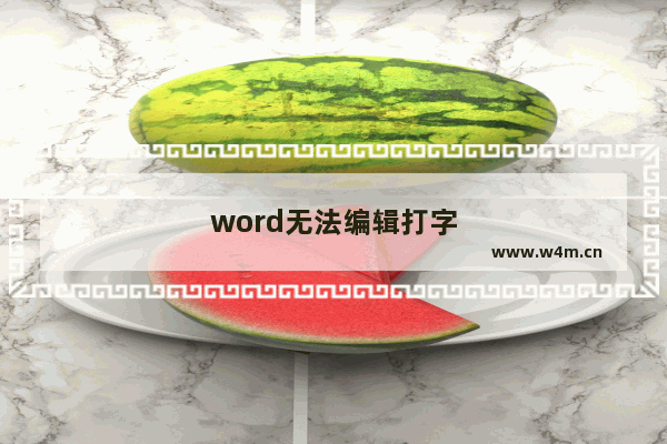 word无法编辑打字