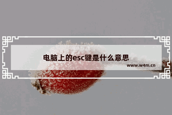 电脑上的esc键是什么意思