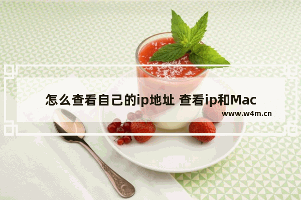 怎么查看自己的ip地址 查看ip和Mac地址的方法