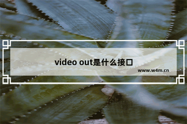 video out是什么接口