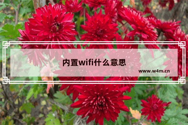 内置wifi什么意思