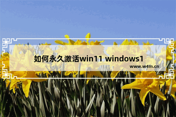 如何永久激活win11 windows10永久激活简单方法