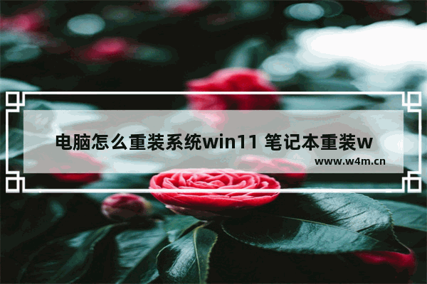 电脑怎么重装系统win11 笔记本重装win11系统教程