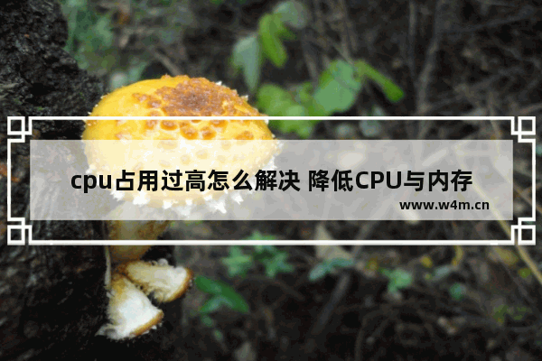 cpu占用过高怎么解决 降低CPU与内存占用率的方法