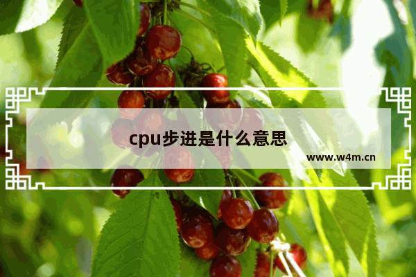 cpu步进是什么意思