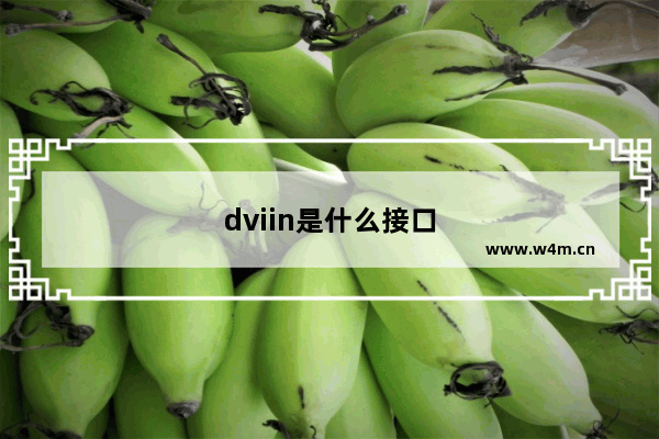 dviin是什么接口