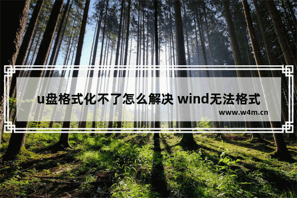 u盘格式化不了怎么解决 wind无法格式化u盘解决方法