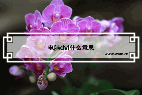 电脑dvi什么意思