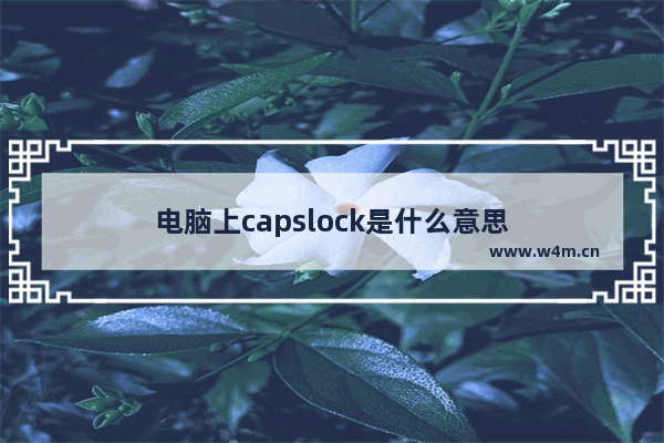 电脑上capslock是什么意思