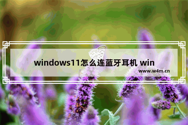 windows11怎么连蓝牙耳机 win电脑连接蓝牙耳机的步骤