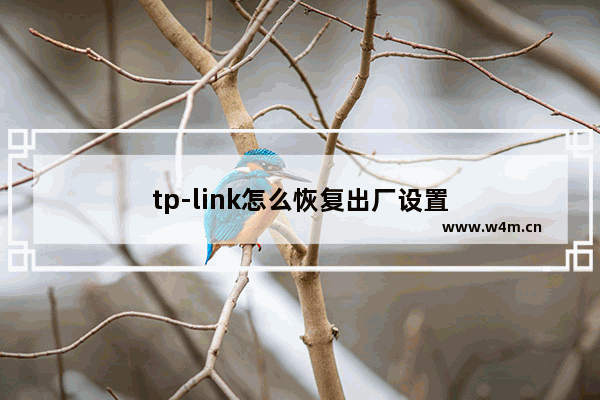 tp-link怎么恢复出厂设置