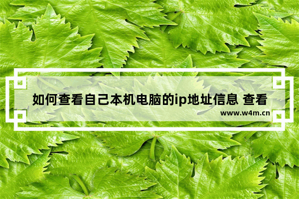 如何查看自己本机电脑的ip地址信息 查看本机电脑ip地址的方法