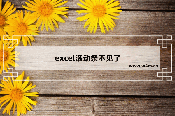 excel滚动条不见了