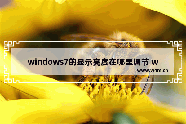 windows7的显示亮度在哪里调节 windows7电脑屏幕亮度调节的方法