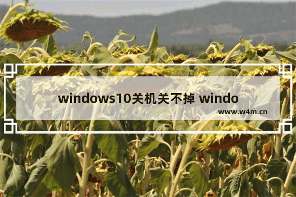 windows10关机关不掉 windows10关不了机怎么解决