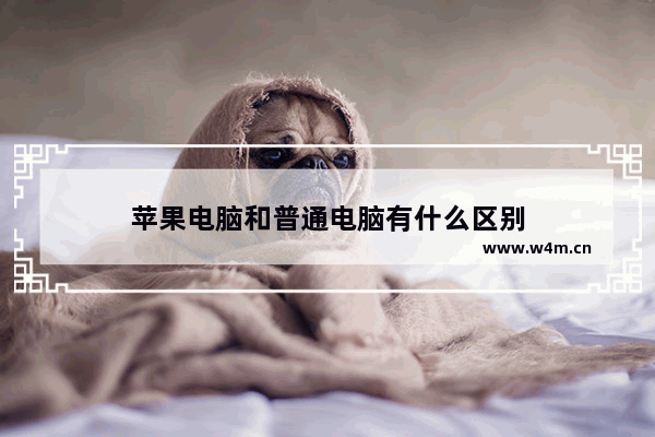 苹果电脑和普通电脑有什么区别