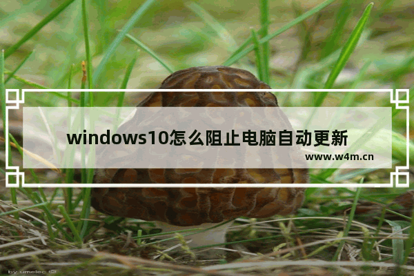 windows10怎么阻止电脑自动更新