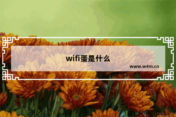 wifi蛋是什么