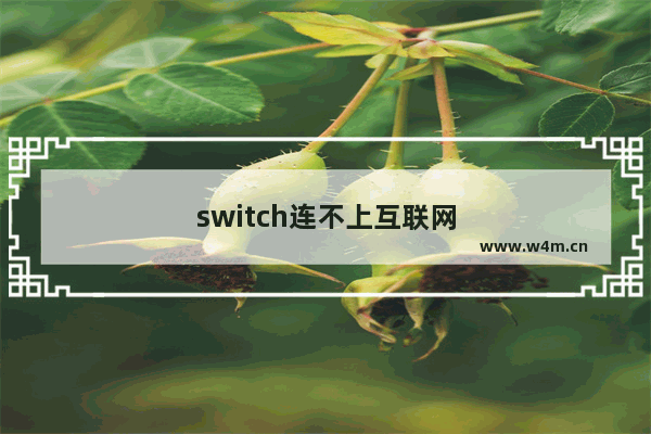 switch连不上互联网