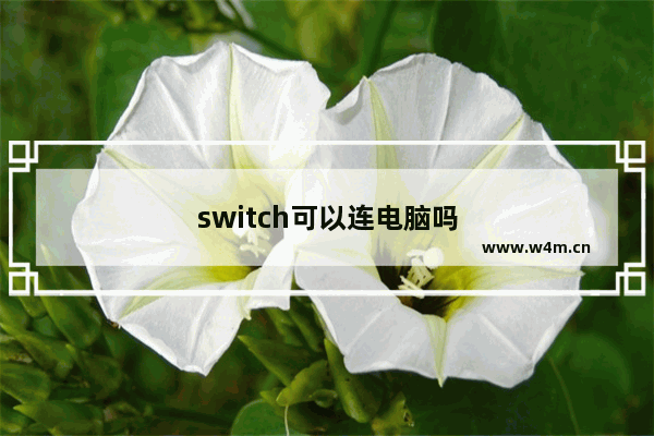 switch可以连电脑吗