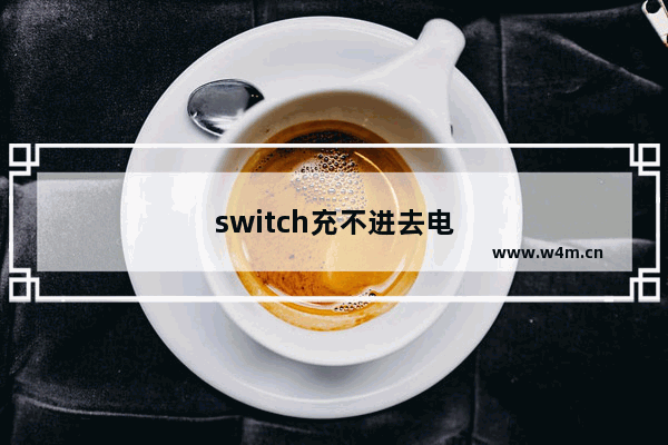 switch充不进去电