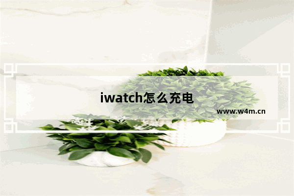 iwatch怎么充电