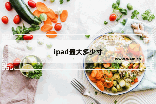 ipad最大多少寸