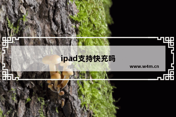 ipad支持快充吗