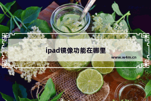 ipad镜像功能在哪里