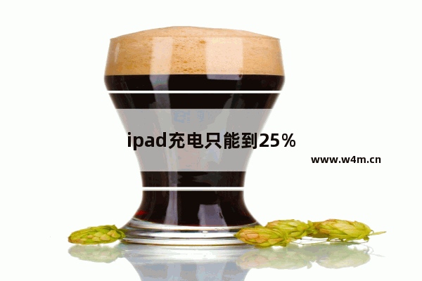 ipad充电只能到25%