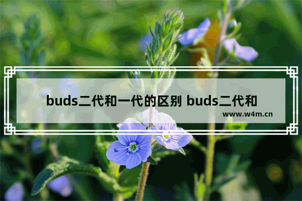 buds二代和一代的区别 buds二代和一代有什么区别