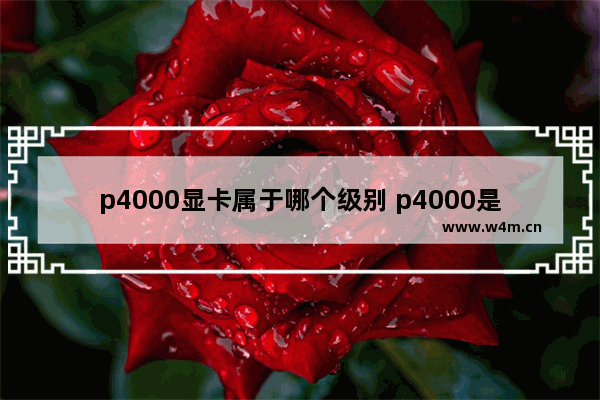 p4000显卡属于哪个级别 p4000是哪个级别的显卡